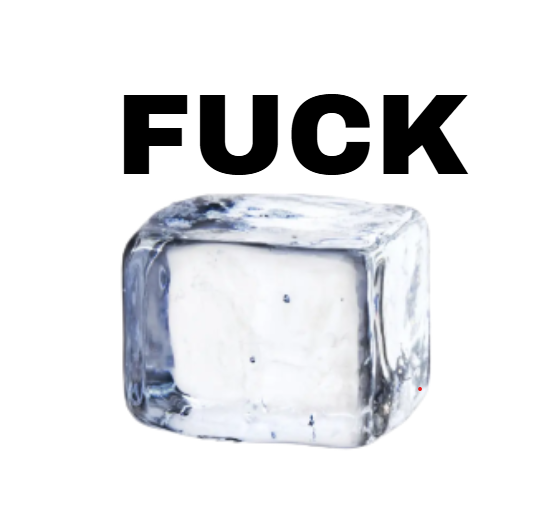 Fuck ICE <3