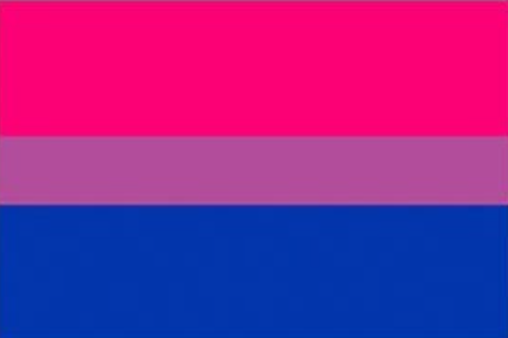 Bisexual Pride Flag