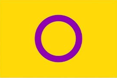 Intersex Pride Flag